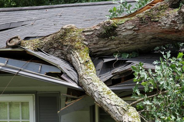 Storm Remediation in Zephyrhills