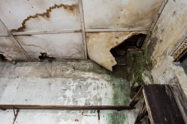 Water Damage Service in Zephyrhills