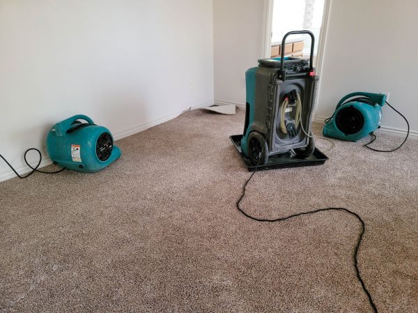Flood Damage Repair in Zephyrhills