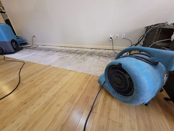 Water Damage Mitigation in Zephyrhills