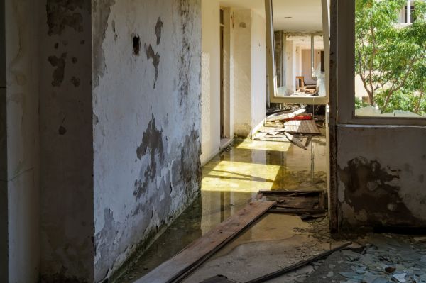 Water Removal Service in Zephyrhills