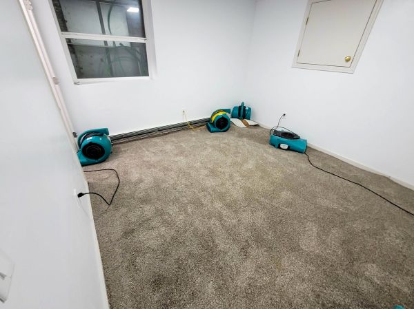 Flood Restoration Service in Zephyrhills