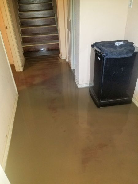 Emergency Water Removal in Zephyrhills