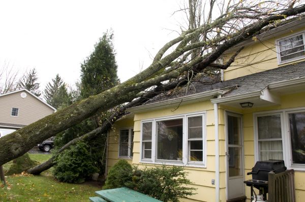Hurricane Damage Repair in Zephyrhills