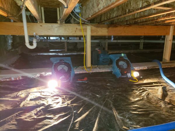Crawlspace Water Removal in Zephyrhills