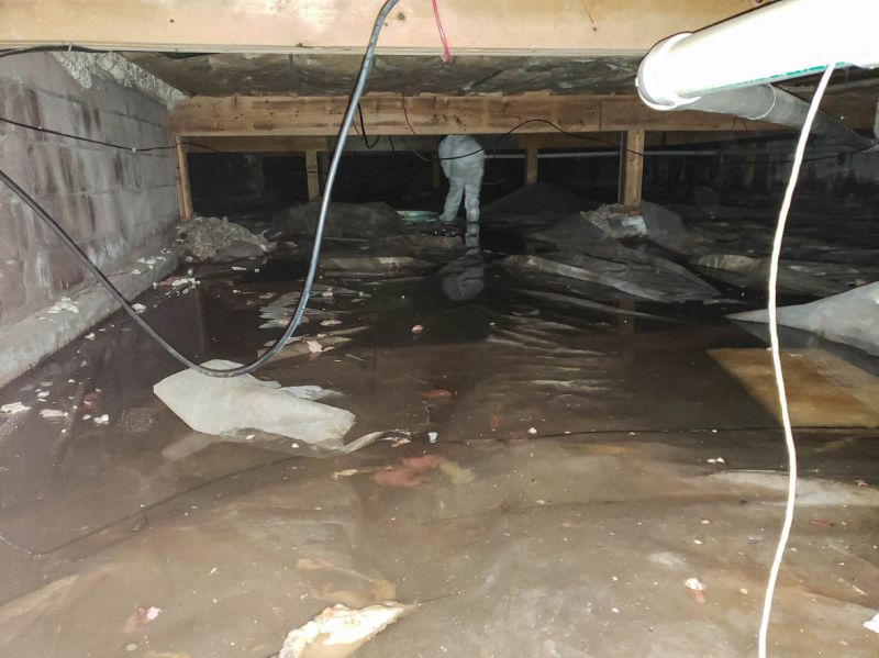 Water Damage Repair